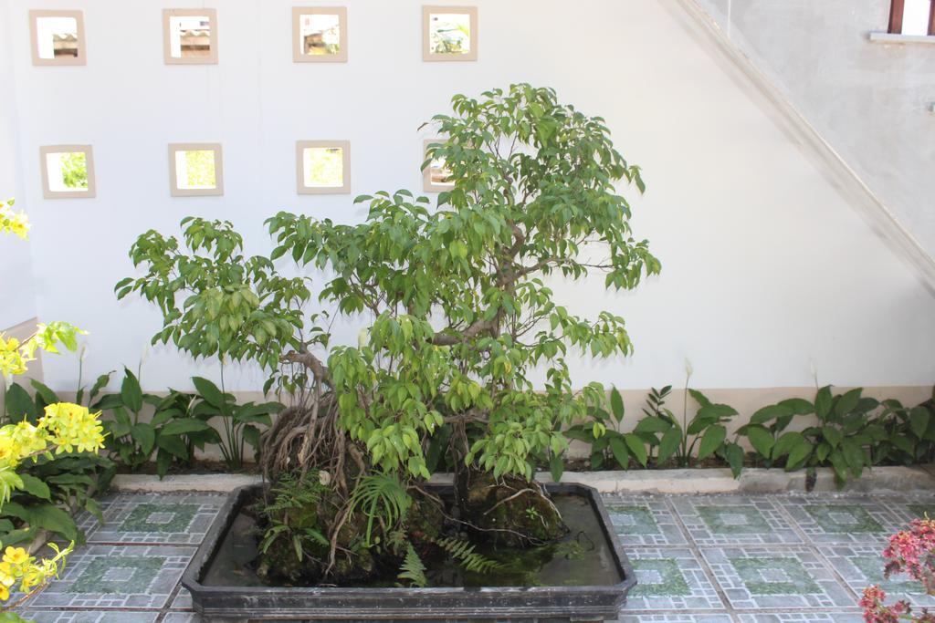 Hoian Joy Homestay Хоян Екстер'єр фото