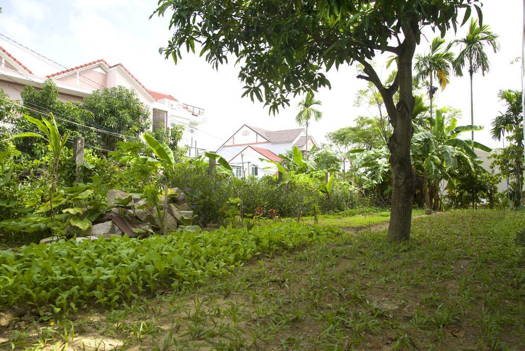 Hoian Joy Homestay Хоян Екстер'єр фото