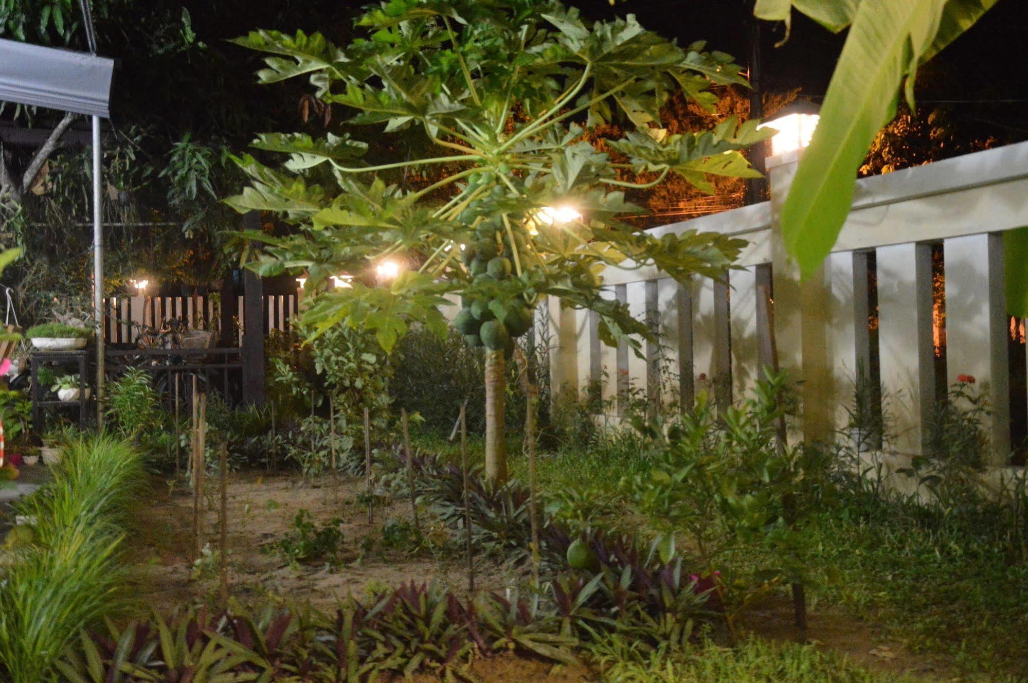 Hoian Joy Homestay Хоян Екстер'єр фото